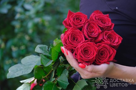 Букет из 7 красных роз "Ред Наоми"